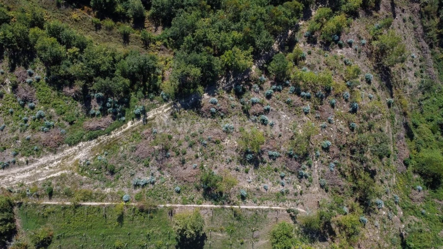 Terreno para Venda em Rio de Moinhos