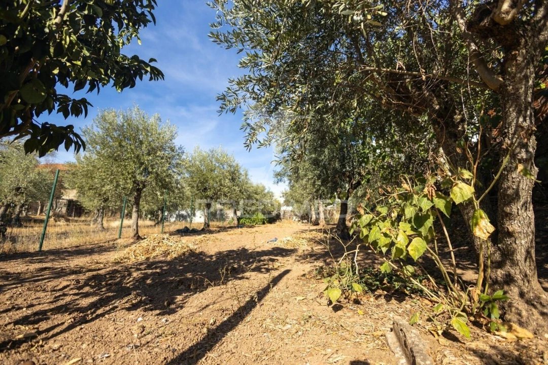 Armazém para Venda em Nossa Senhora da Conceição, São Brás dos Matos, Juromenha Foto 25