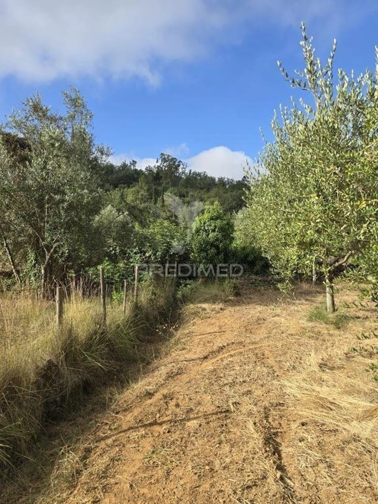 Terreno para Venda em Vila Seca e Bem da Fé Foto 22