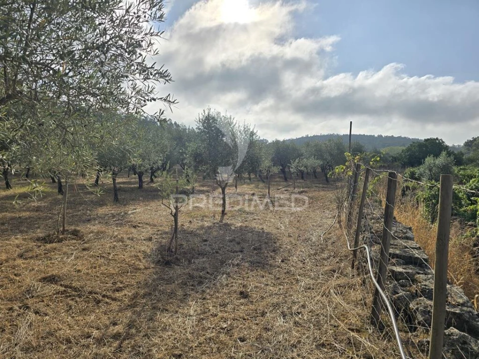 Terreno para Venda em Vila Seca e Bem da Fé Foto 15
