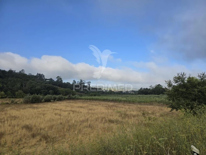 Terreno para Venda em Vila Seca e Bem da Fé Foto 4