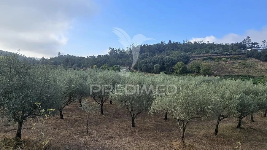 Terreno para Venda em Vila Seca e Bem da Fé