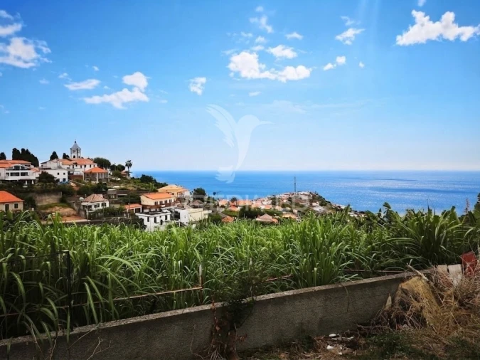 Terreno para Venda em Canhas Foto 2