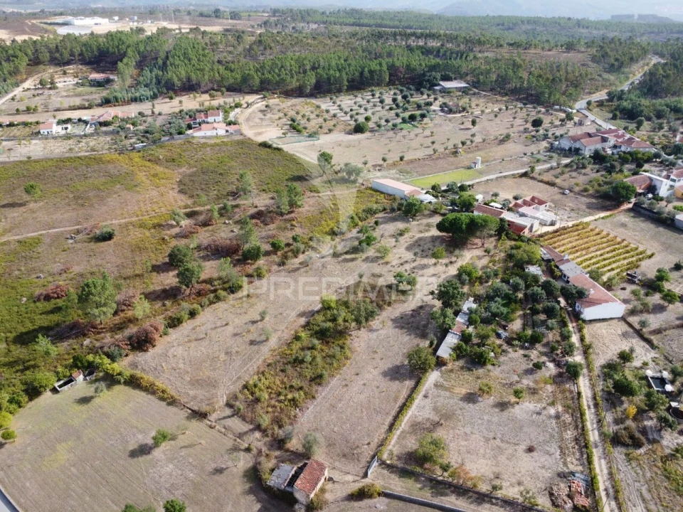 Terreno para Venda em Mação, Penhascoso e Aboboreira Foto 3