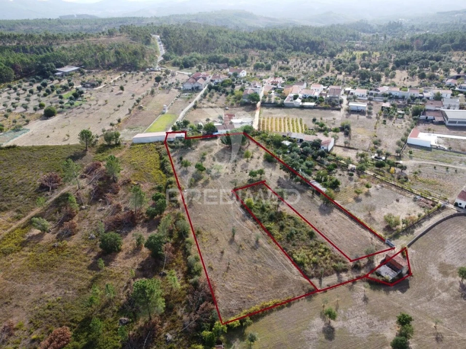 Terreno para Venda em Mação, Penhascoso e Aboboreira Foto 4