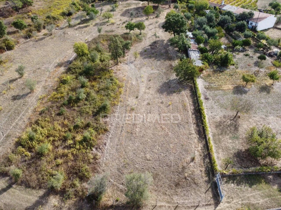 Terreno para Venda em Mação, Penhascoso e Aboboreira Foto 2