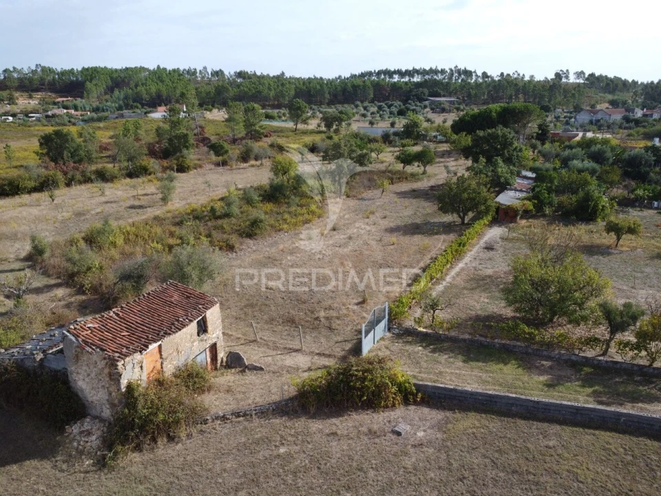 Terreno para Venda em Mação, Penhascoso e Aboboreira Foto 1