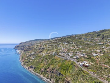 Terreno para Venda em Arco da Calheta