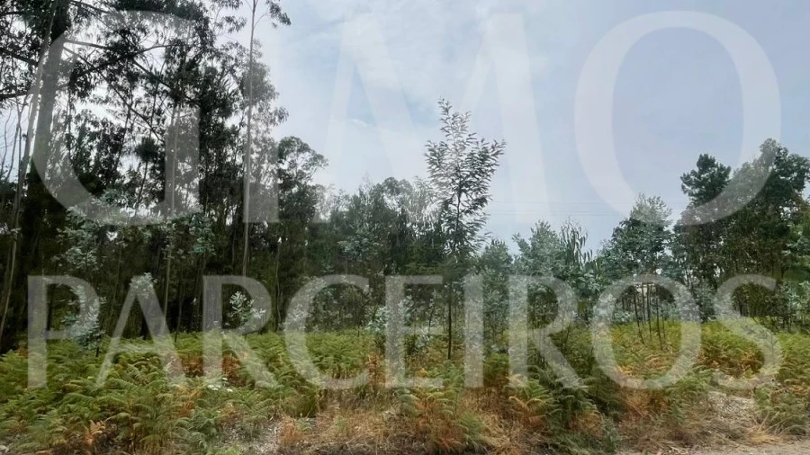 Terreno para Venda em Oliveira do Bairro