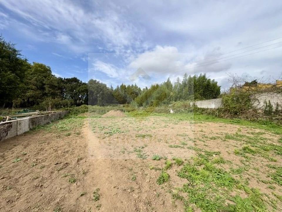 Moradia T3 para Venda em Santa Maria de Lamas Foto 33