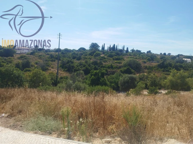 Terreno para Venda em Armação de Pera Foto 5