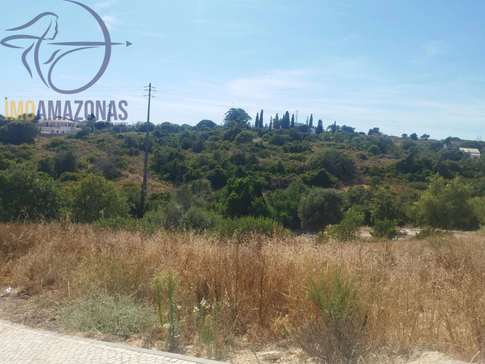 Terreno para Venda em Armação de Pera Foto 5