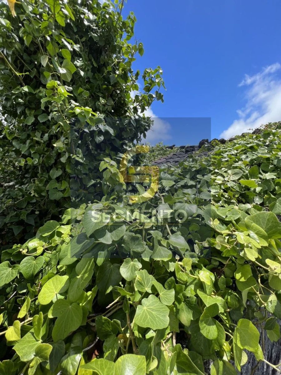 Moradia T2 para Venda em São Roque do Pico Foto 7