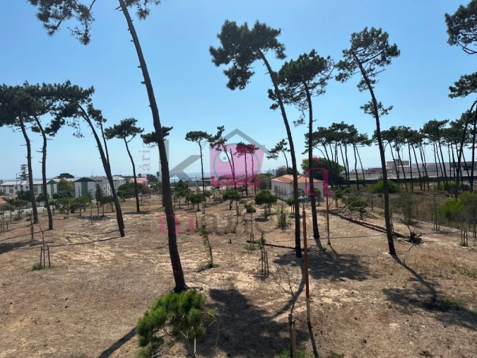 Prédio para Venda em Sines Foto 41