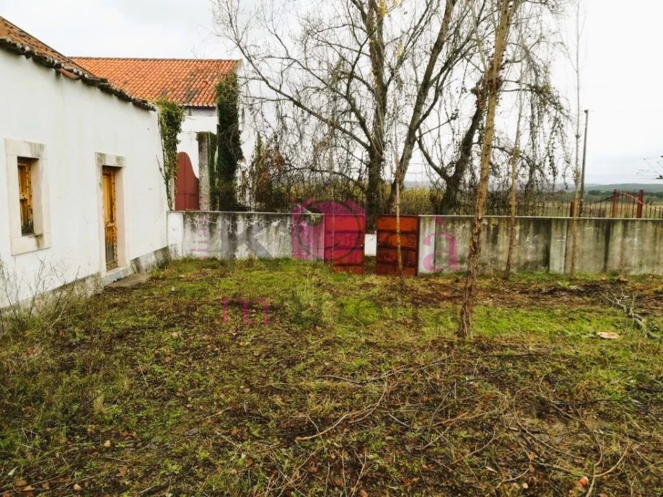 Moradia T6 para Venda em Santa Margarida da Coutada Foto 9