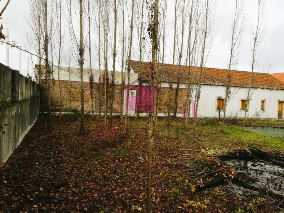 Moradia T6 para Venda em Santa Margarida da Coutada Foto 10