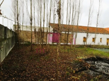 Moradia T6 para Venda em Santa Margarida da Coutada