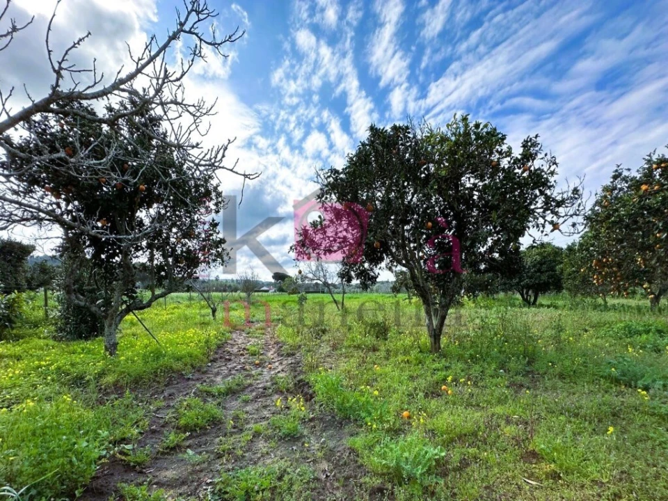 Quinta T2 para Venda em Porto Covo Foto 23
