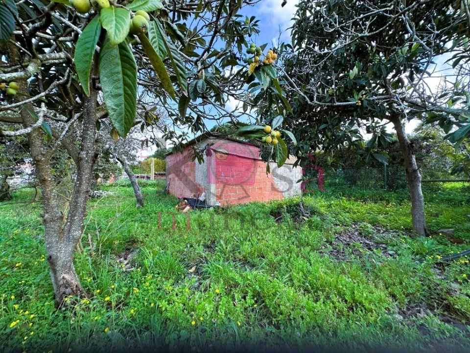 Quinta T2 para Venda em Porto Covo Foto 24
