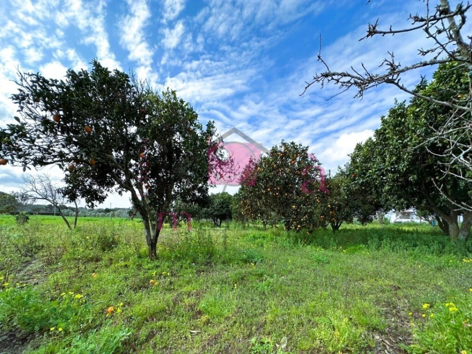 Quinta T2 para Venda em Porto Covo Foto 2