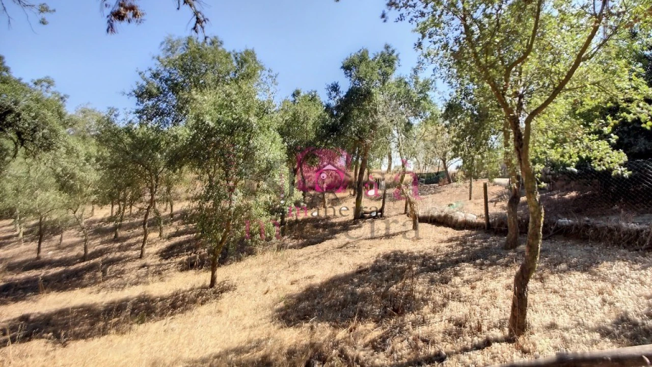 Quinta T2 para Venda em Melides Foto 18