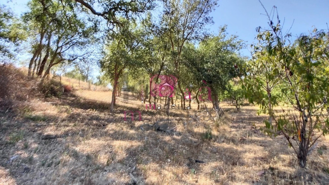 Quinta T2 para Venda em Melides Foto 22