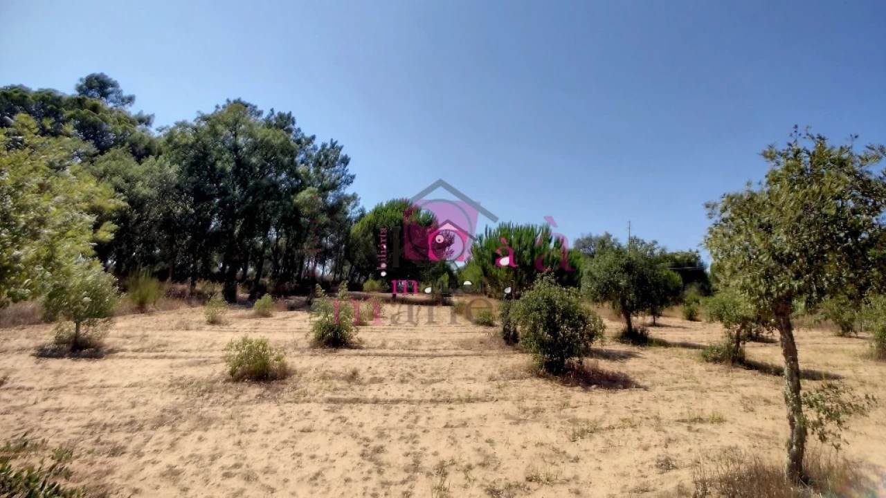 Quinta T2 para Venda em Melides Foto 31