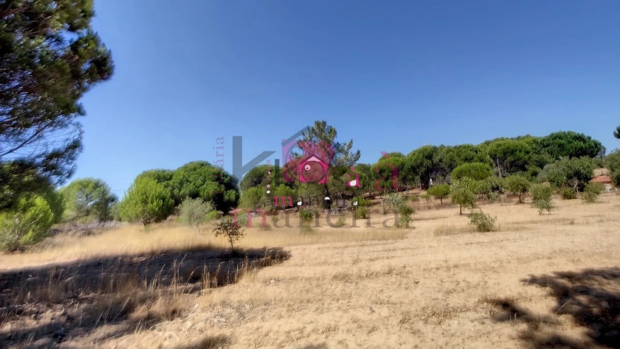 Quinta T2 para Venda em Melides Foto 33