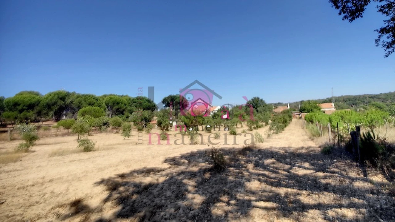 Quinta T2 para Venda em Melides Foto 34