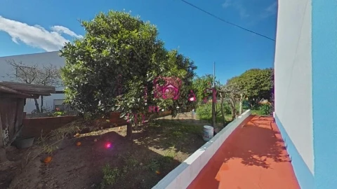 Quinta T2 para Venda em Melides