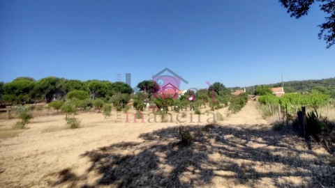 Quinta T2 para Venda em Melides