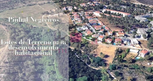 Terreno para Venda em Azeitão (São Lourenço e São Simão)