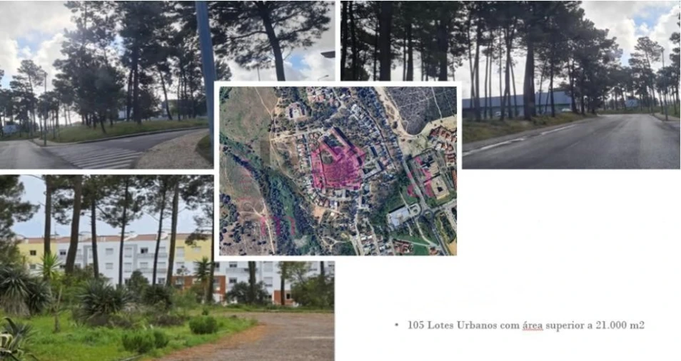 Terreno para Venda em Azeitão (São Lourenço e São Simão) Foto 7