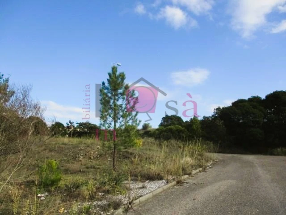 Terreno para Venda em Abrantes (São Vicente e São João) e Alferrarede Foto 6