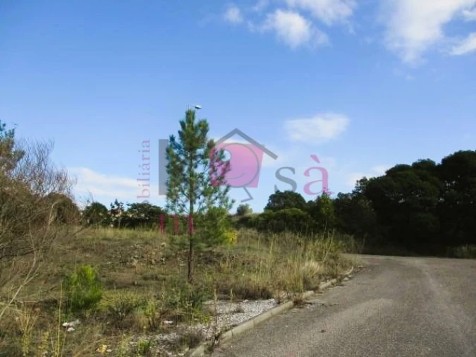 Terreno para Venda em Abrantes (São Vicente e São João) e Alferrarede Foto 6
