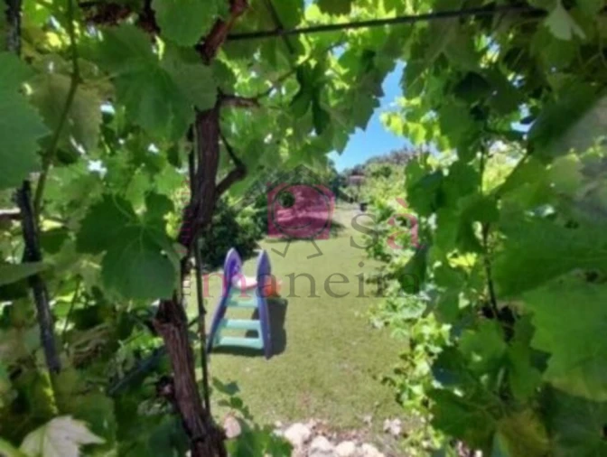 Quinta T4 para Venda em Santiago do Cacém, Santa Cruz e São Bartolomeu da Serra Foto 6