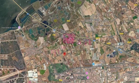 Terreno para Venda em Montijo e Afonsoeiro