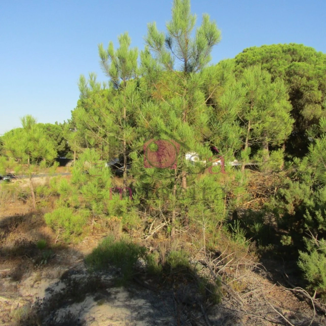Terreno para Venda em Santo Andre Foto 1