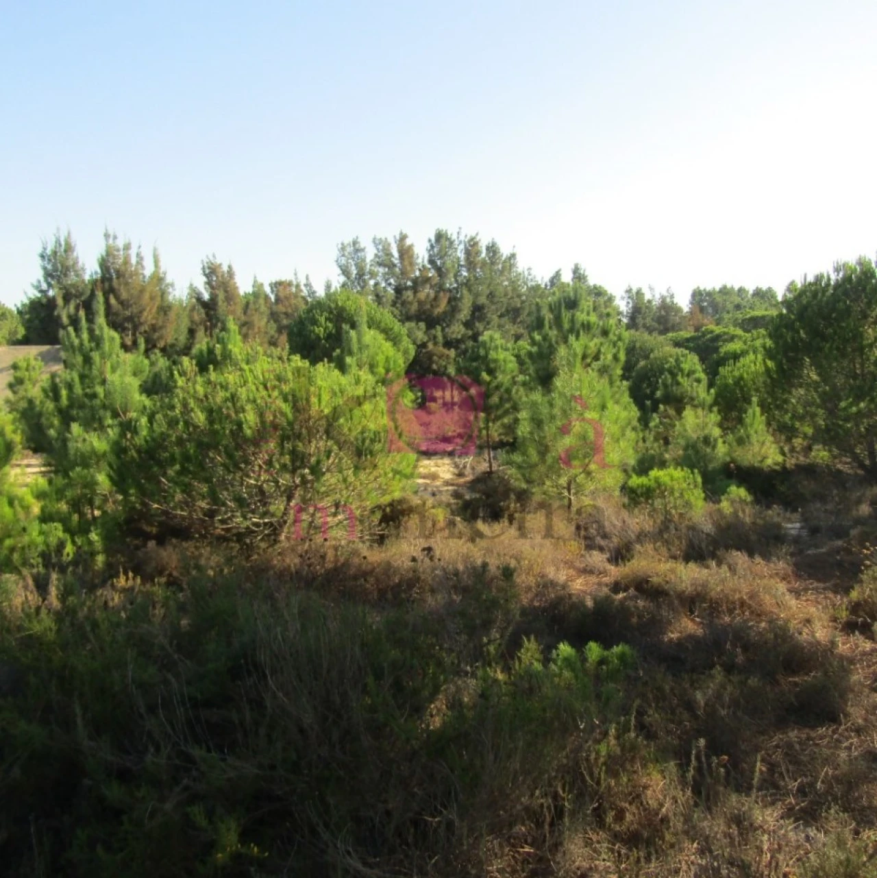 Terreno para Venda em Santo Andre Foto 4