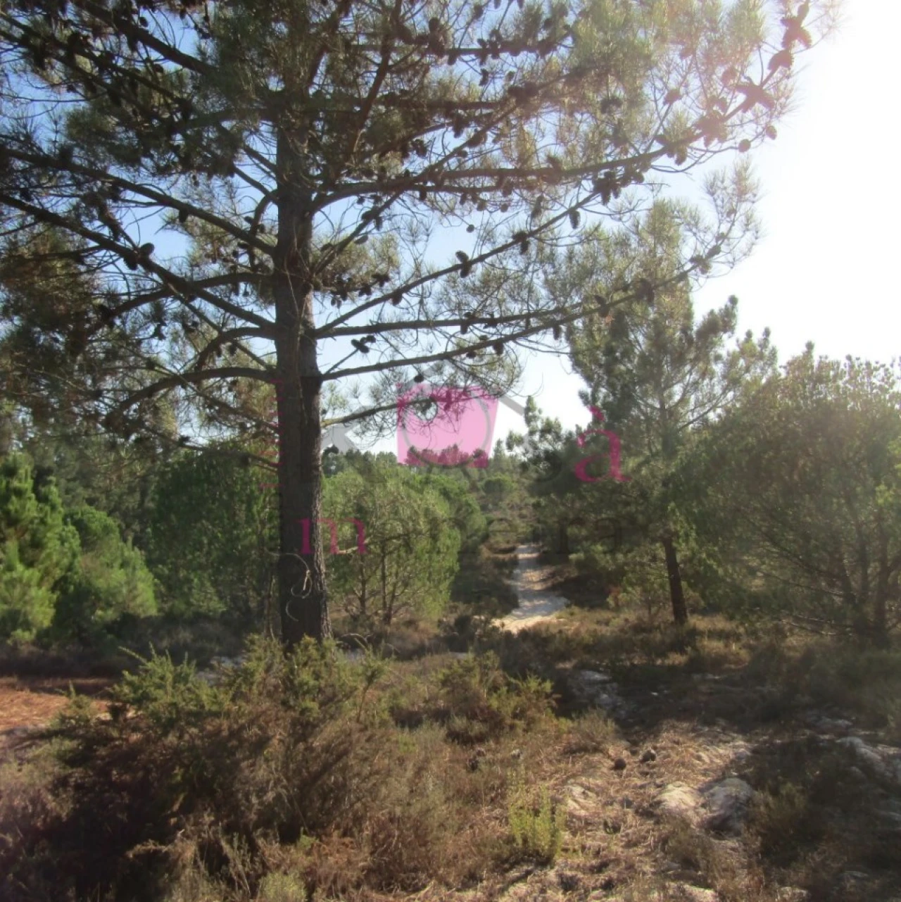 Terreno para Venda em Santo Andre Foto 5