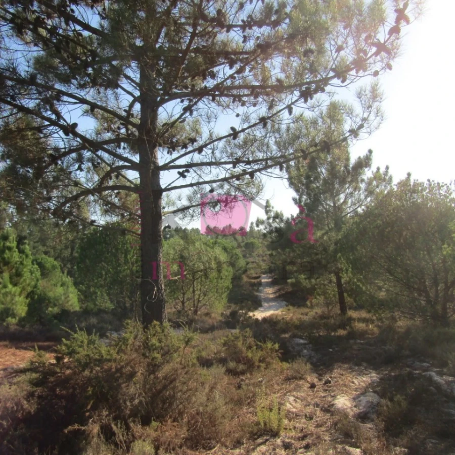 Terreno para Venda em Santo Andre Foto 5
