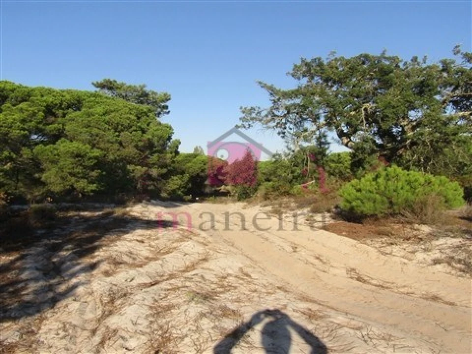 Terreno para Venda em Santo Andre Foto 7