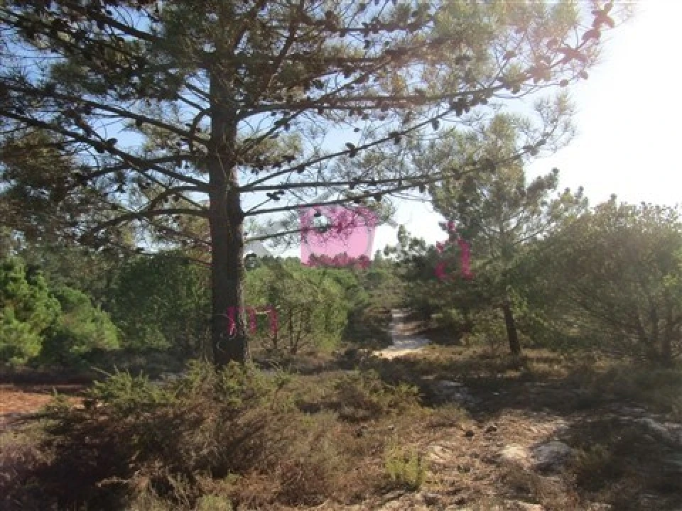 Terreno para Venda em Santo Andre Foto 10