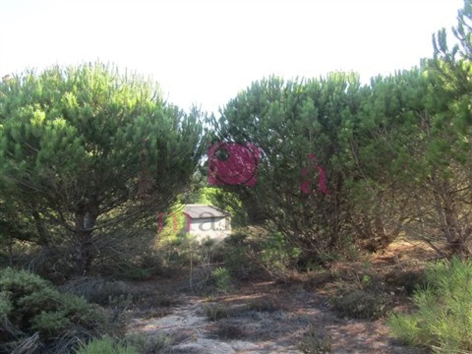 Terreno para Venda em Santo Andre Foto 11