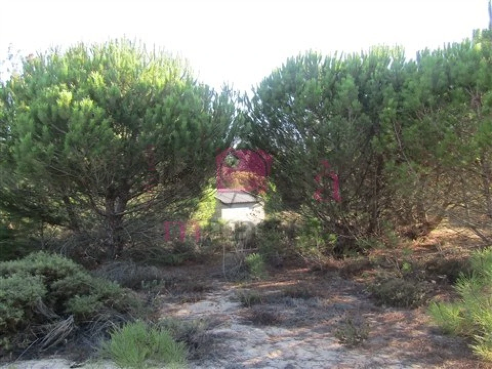 Terreno para Venda em Santo Andre Foto 12