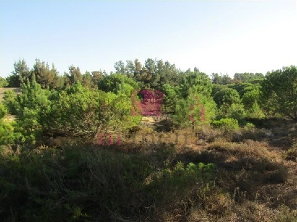 Terreno para Venda em Santo Andre Foto 13