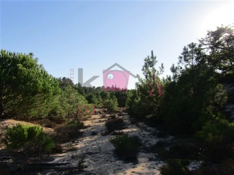 Terreno para Venda em Santo Andre Foto 14