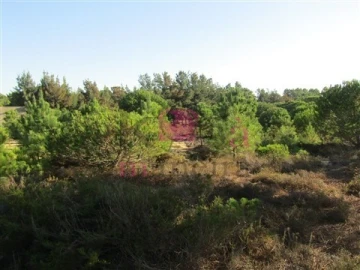 Terreno para Venda em Santo Andre