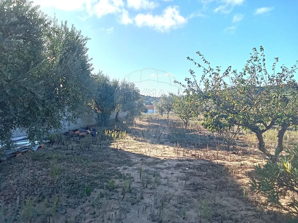 Moradia T5 para Venda em Manique do Intendente, Vila Nova de São Pedro e Maçussa Foto 42