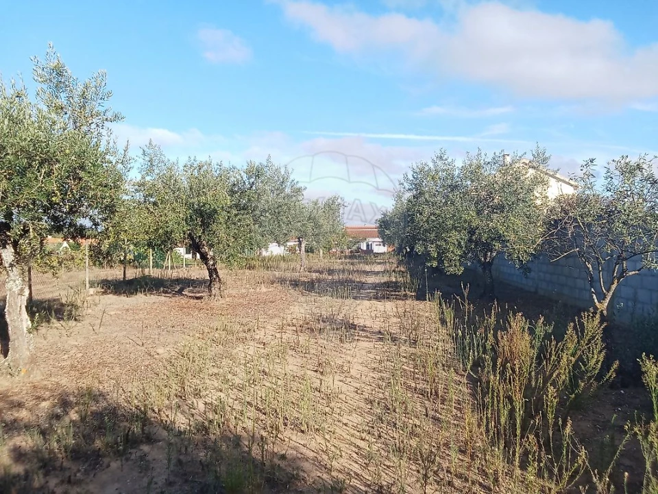Moradia T5 para Venda em Manique do Intendente, Vila Nova de São Pedro e Maçussa Foto 47